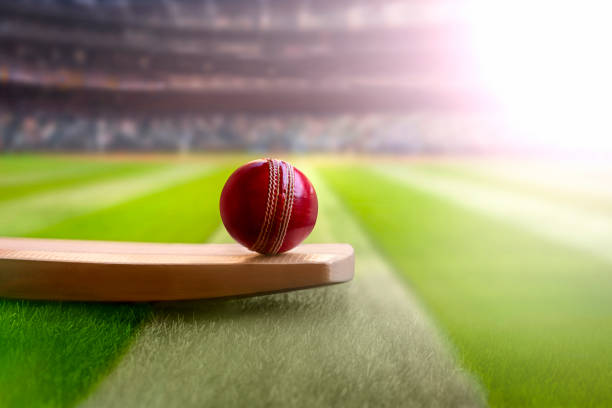 Spotting underdog opportunities in cricket betting