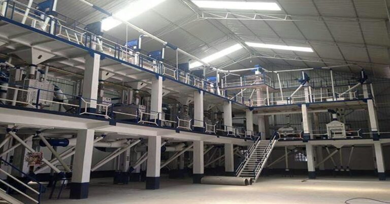 Understanding the 5 Ton Rice Mill Project Cost: A Comprehensive Guide