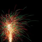 Reddyanna Pro: Revolutionizing Digital Solutions for Modern Enterprises